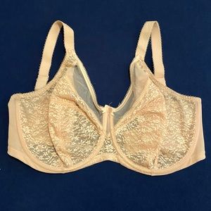 34L Goddess Underwire Lace Cup Bra